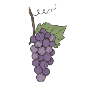 Individual Membership